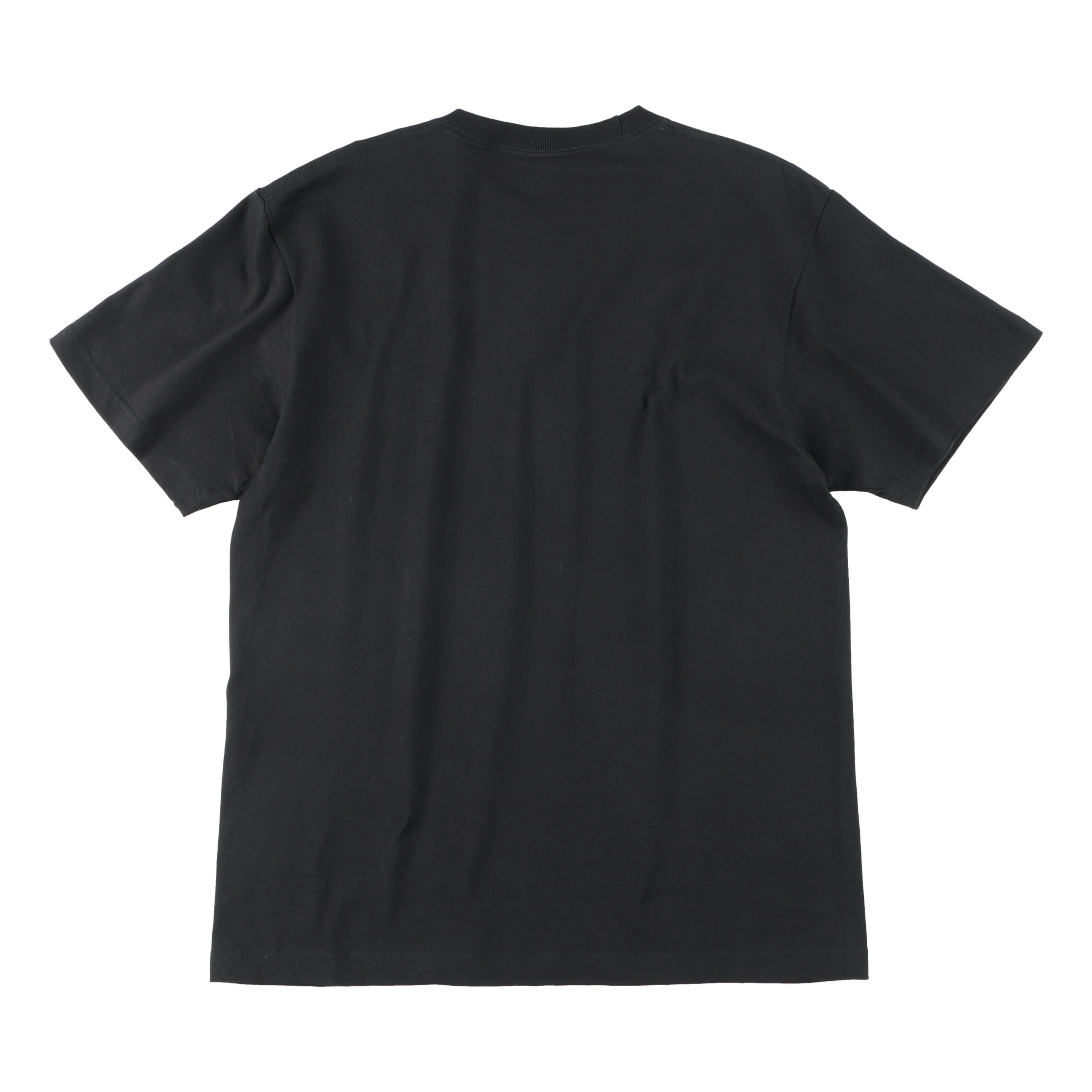 Vaults101®︎ mini logo TEE